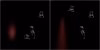 Backdrop_Viewports.jpg