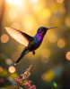 46e6bce1-fd60-4c2e-8ee8-0418b766c8a1.png