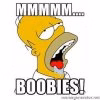 1853086_Homer_Boobies.jpg