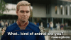 1000019294.gif