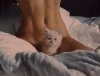 pussy.jpg
