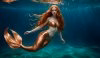 ginger_by_sdroper_digfudu-pre.jpg