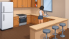 kitchendish.png kitchendish.png