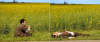 1745663275568.png