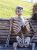 1400992.png