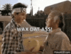 IMG_4434.gif
