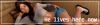 Banner.png Banner.png