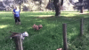 fail-miss.gif fail-miss.gif