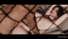 Echidna-Missionary-V1.gif
