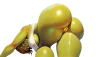 21.png 21.png