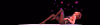Cover.png Cover.png