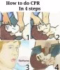 6 - Copy.jpg