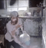 5a106f54eb1c21.gif