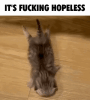 nohop.gif