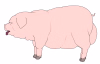 1746136452512.png