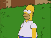 homerhide.gif