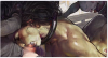 Screenshot 2025-05-02 055247.png