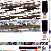 1746186316270.png