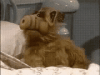 alf-screaming.gif