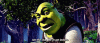 c8ec856fbb331cbf690f2d6749e2b65e.gif