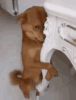 1746330566194.gif