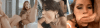F95.gif