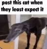 aq0NJ9Kq_700w_0.jpg