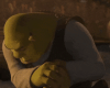 shrek-shrek-meme.gif