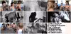 Collage 2025-05-06 23_40_51.jpg