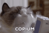 my-copium-.gif