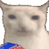 cat-ruffles.gif