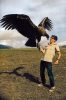 Andean Condor.png