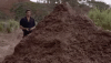 1746684297943.gif