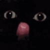 blele-cat.gif
