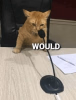1746698874467.png