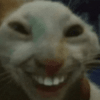 fanny-car.gif