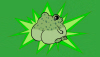 ss-5.png