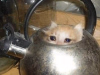 1746736615734.png