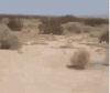 1746777567149.gif