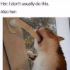 1746791645755.png