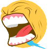 giphy_s.gif