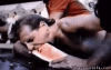 yum.gif