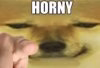 images.jpeg