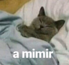 1000055060.png