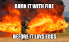 1747008490164.png