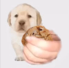 1747061873158.png