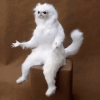 1747072790792.gif 1747072790792.gif