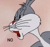 Bugs No.jpg