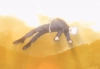 1000067082.png