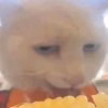 1746808116460.jpg